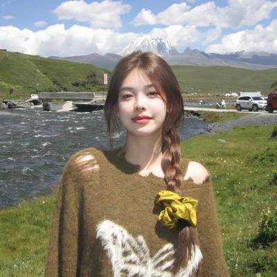 蠢蛋告别式海报
